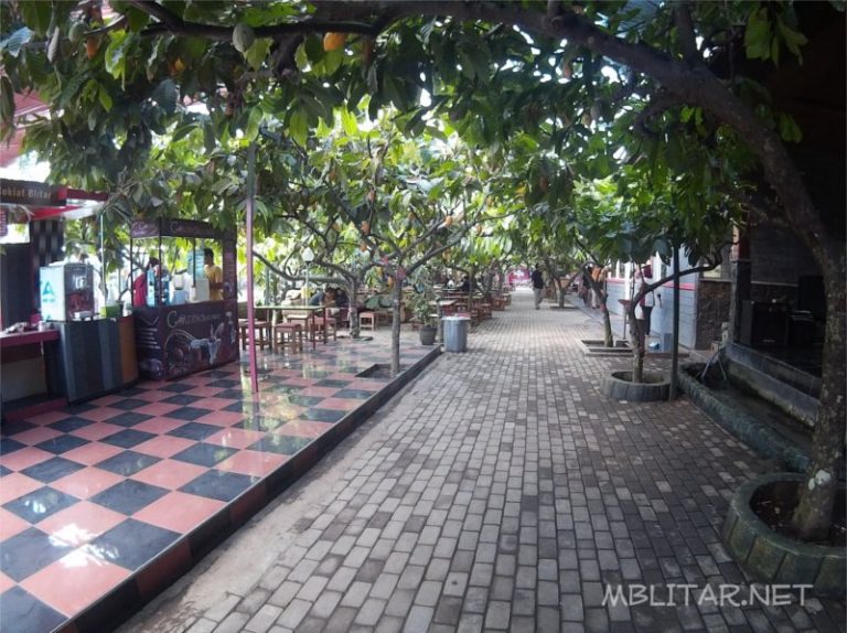 Wisata Edukasi Kampung Coklat di Blitar